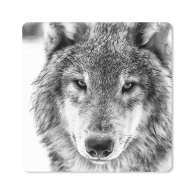 Produktbild von MuchoWow® Mauspad Mousepad Wolf im Winter in Schwarz und Weiß 20x20 cm - Mousepads - Maus Mat - Pad - Mausunterlage - Desk Mat - Bureauartikeln