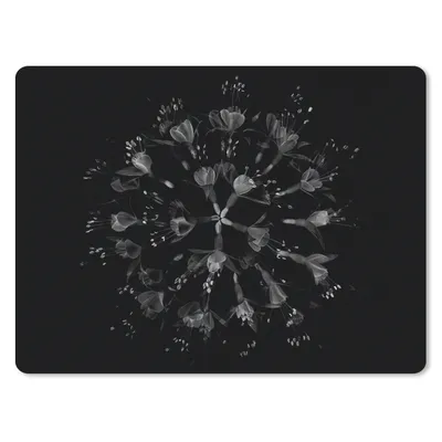 Produktbild von MuchoWow® Mauspad Mousepad Blume - Lila - Blau - Makro - Schwarz 23x19 cm - Mousepads - Maus Mat - Pad - Mausunterlage - Schreibtischunterlage - Mauspad