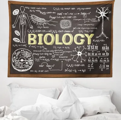 Produktbild von ABAKUHAUS Biologie Wandteppich, Biologie aus Weiches Mikrofaser Stoff Waschbar ohne Verblassen Digitaldruck, 150 x 110 cm, Hellgelb Schwarz Braun