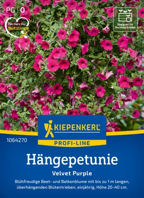 Artikelbild 2 von 'Hängepetunie Velvet Purple F1' aus der Kategorie Petuniensamen