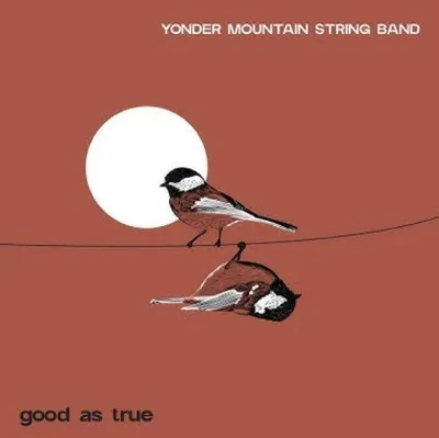 Produktbild von Good As True