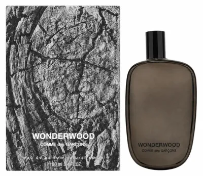 Produktbild von Comme Des Garcons Wonderwood, Männer, 100 ml, Flüssiges Parfüm, Spray, 1 Stück(e), KI-generiertes Bild