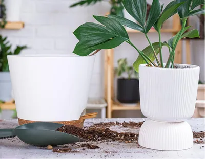 Zdjęcie produktu dla Duży samonawadniający się pojemnik na rośliny - biały - 30,5 cm
