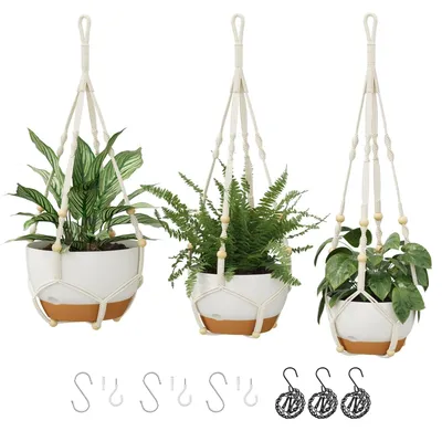 Produktbild von Omgoods – Set aus 3 Makramee-Pflanzenampeln mit Selbstbewässerung
