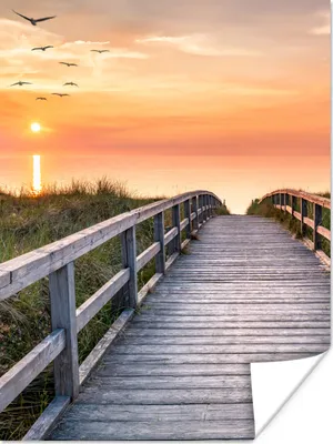 Produktbild von MuchoWow® Poster Sonnenuntergang - Meer - Weg - Gras - Düne - Vögel 90x120 cm - Wohnzimmer