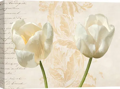 Imagen del producto de Cuadro sobre lienzo, flores modernas - Elena Dolci, Dos tulipanes - 70x50 cm