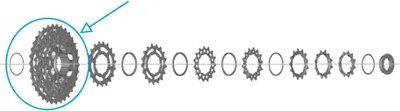 Immagine prodotto di Pignone Shimano per CS-R7100, denti: 21-24-27-30-34 denti