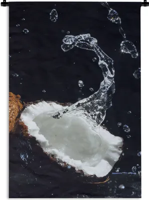 Produktbild von MuchoWow® Wandteppich Wandbehang Kokosnuss - Stillleben - Wasser - Schwarz - Frucht 60x90 cm Tapisserie Dekoration Wandtuch - Foto-Teppich - Abwaschbar
