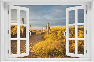 Produktbild von Wallario Wandbild mit Fenster-Illusion: Düne am Strand bei Sonnenuntergang in Frankreich, Größe: 61 x 91,5 cm, Poster mit rahmenlosen Bildhalter