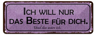 Produktbild von Blechschild Spruch 27x10cm ich will nur das Beste für dich Dekoration