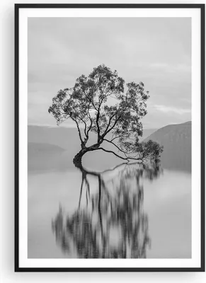 Produktbild von Gerahmtes Poster - Schwarzer Rahmen - Baum Symmetrie See - 70x100 cm - Wand Bild - Wanddeko - Wandbilder - Kunstposter - Wandposter - Bilderrahmen - Bilder - Kunstdruck - P2BPA70x100-4514