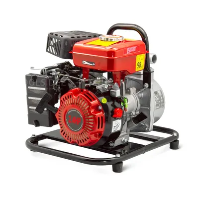 Image de Pompe submersible MASTER PUMPS 79,6 cm³