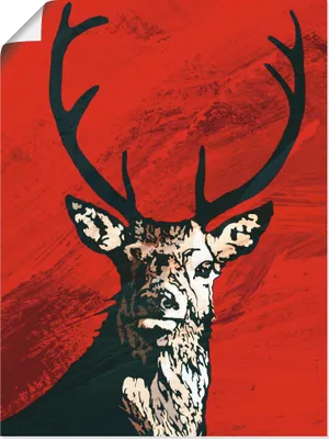 Produktbild von ARTland Poster Hirsch Größe: 60x80 cm