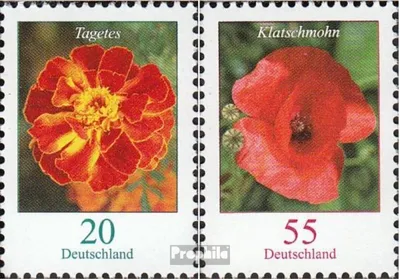 Produktbild von Briefmarken BRD (BR.Deutschland) 2005 Mi 2471A-2472 (kompl.Ausg.) postfrisch Blumen