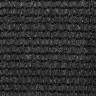 Immagine prodotto di Schermo Frangivista per Balcone Antracite 120x600 cm in HDPE