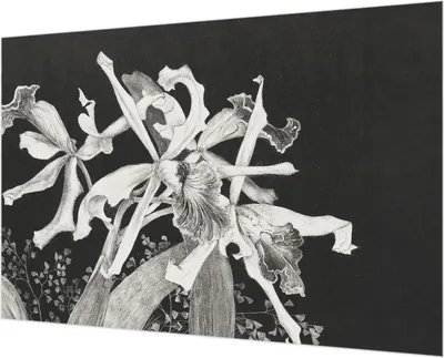 Produktbild von Wandtapete - Dekorative Tapete für Wohnzimmer - Tapetenfolie für Wanddekoration - 152x104 cm - Orchideenillustration