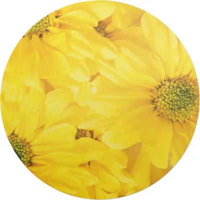 Produktbild von Solarblumen – Bodenschutzmatte – Stuhlunterlage – Bürostuhlmatte – Rutschfeste Bodenmatte – Schutzmatte für Hartboden – fi 100 cm
