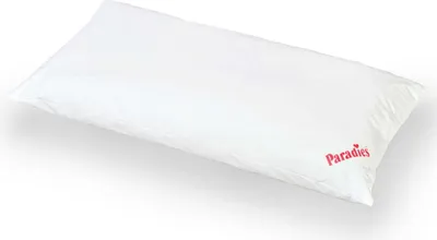 A white pillow is shown on a white background.