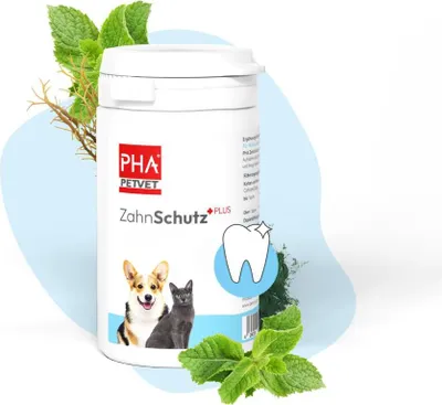 Immagine prodotto di PHA ZahnSchutz Plus per cani e gatti, 60 g PUL
