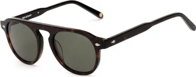 Image de Lunettes de soleil Belstaff larssontortoi