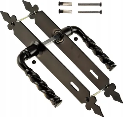 Produktbild von Türgriff Türbeschlag Haustürgriff FEINZ Lilia - 90 mm - Schmiedeeisen - Robuste Qualität - Elegantes Design