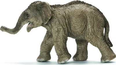 Immagine prodotto di Bambino di elefante asiatico Schleich