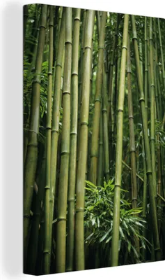 Produktbild von OneMillionCanvasses® - Leinwandbilder - 90x140 cm, Bambusstämme, Wandbilder Kunstdruck Wanddekoration - Foto auf Leinwand - Gemälde auf Holzrahmen  - Wandschmucke - Schlafzimmer