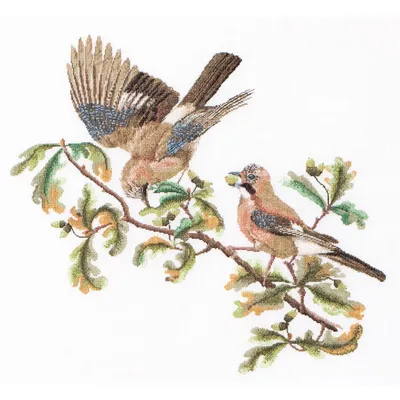 Produktbild von Thea Gouverneur Kreuzstich Stickpackung "Jays Aida", Zählmuster, 50x56cm
