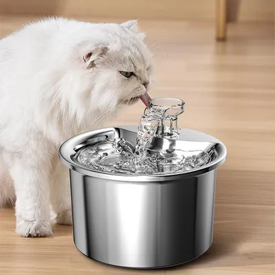 Image de AIORBER Fontaine silencieuse en acier inoxydable pour chats 2L avec filtre, fontaine automatique pour chats et chiens, pompe à eau ultra-silencieuse, Argent