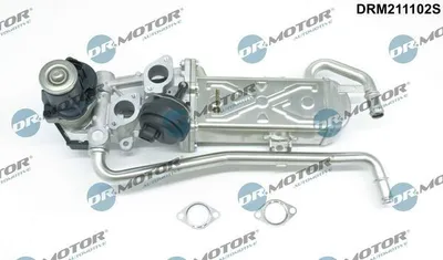 Produktbild von DR.MOTOR AUTOMOTIVE DRM211102S AGR-Ventil mit Dichtung für VW Polo Schrägheck (6R1, 6C1) Abgasrückführungsventil