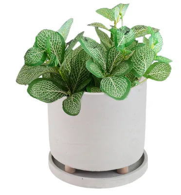 Image de Pot en béton avec soucoupe pour plantes