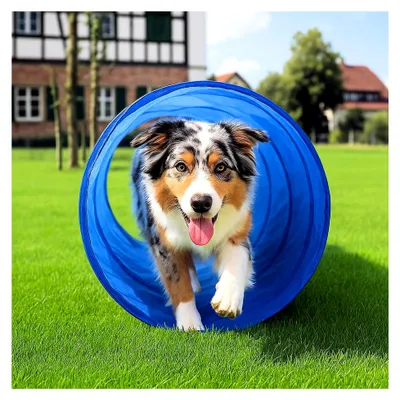 Produktbild von Hunde Agility Tunnel - Spieltunnel 55x150cm