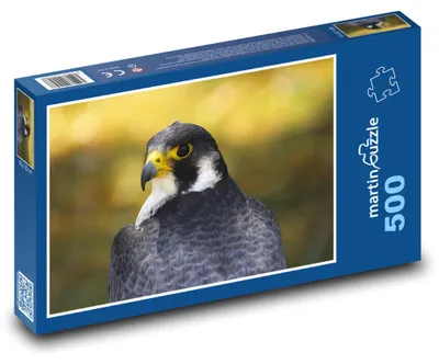 Zdjęcie produktu dla martinpuzzle - Puzzle 500 - Gyrfalcon - sokoł