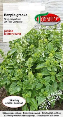 Produktbild von Samen von griechischem Basilikum, Ocinum basilicum var. Palla Compacta 0.1g - Torseed