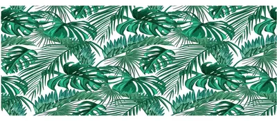 Produktbild von Sichtschutzfolie – Palmenblätter – Aufkleber für Fenster und Duschtüren – 40 x 100 cm