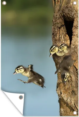 Produktbild von MuchoWow®