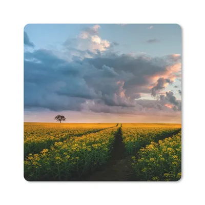Produktbild von MuchoWow® Mauspad Mousepad Blumen - Gelb - Sonnenuntergang 20x20 cm - Mousepads - Maus Mat - Pad - Mausunterlage - Desk Mat - Bureauartikeln