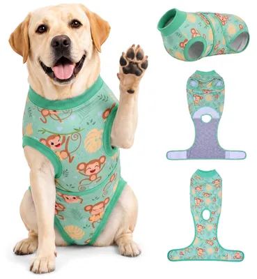 Hunde-Erholungsanzug, OP-Schutz, Cartoon-Muster, Grün, 2XL