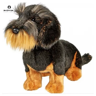 Produktbild von Anima Plüschtier Rauhhaar-Teckle sitzend 30 cm