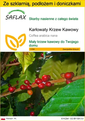 Zdjęcie produktu dla SAFLAX - Zestaw do uprawy - Karłowaty Krzew Kawowy - 8 Nasiona - Z mini szklarnią, podłożem uprawowym i 2 doniczkami - Coffea arabica nana
