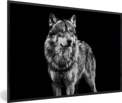 Produktbild von MuchoWow® Gerahmtes Poster Wolf - Tiere - Wild - Schwarz - Weiß 90x60 cm - Poster mit Schwarzem Bilderrahmen Wandposter Rahmen Foto Bilder - Fotorahmen - Foto-Plakat