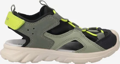Produktbild von GEOX AIRADYUM, Sandalen in Grün für Kinder, Größe 35