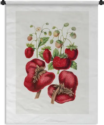 Produktbild von MuchoWow® Wandteppich Wandbehang Lebensmittel - Obst - Erdbeeren 150x200 cm Tapisserie Dekoration Wandtuch - Wandaufhängung - Moderner