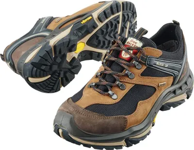 Two hiking shoes are shown against a white background. One shoe is shown from the side, and the other is shown from the sole.