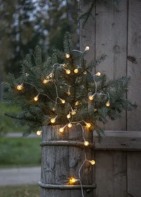 Produktbild von Star LED-Partykette 'Berry', 50 warmwhite LED,