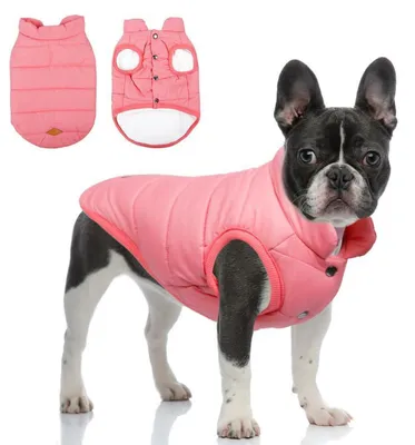 Immagine prodotto di Giacca calda per cani, cappotto invernale per cani e gatti, antivento, imbottita, in cotone, taglia XXL, colore rosa