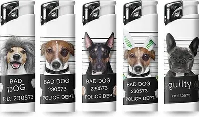 Productafbeelding van Piezo aansteker, hoge temperatuur, 5-delige mix