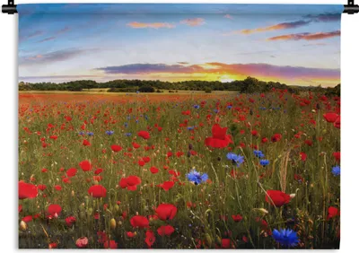 Produktbild von MuchoWow® Wandteppich Wandbehang Blumen - Sonnenuntergang - Farben 150x112.50 cm Tapisserie Dekoration Wandtuch - Wanddecke - Wandteppiche
