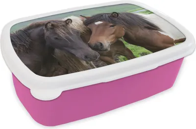 Produktbild von KitchenYeah® Lunchbox Brotzeit Brotdose 17x11 cm Pferde - Tiere - Braun Kinder Brotzeitdose - Lunchpaket - Brotkasten  - Sandwich Box