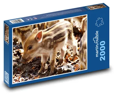 Produktbild von Puzzle 2000 Wildschweinbaby im Wald - martinpuzzle
